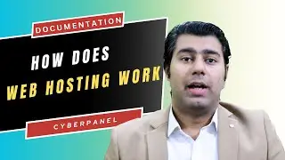 The Complete Guide to How Does Web Hosting Work: From Domains to Servers