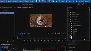 Premiere video effects