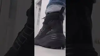 ‪@adidas‬
