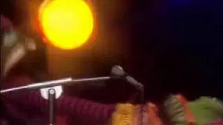Muppets - Dr Teeth & the electric mayhem - Jam