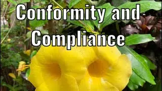 Conformity and Compliance