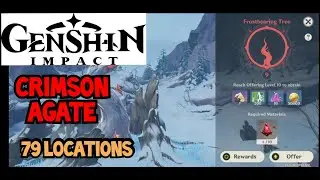 Crimson Agate Location Guide | Genshin Impact