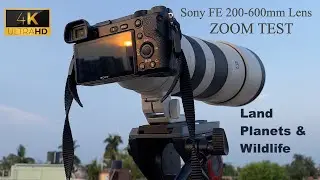 Sony FE 200-600mm f/5.6-6.3 G OSS - ZOOM TEST on Land, Planets & Wildlife