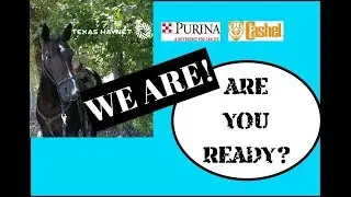 One Horse, One Trainer...Are you Ready?