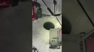 Lost Ice Monster 