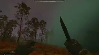 S.T.A.L.K.E.R. 2: Аномалия Туман, как забрать артефакт?