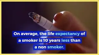 WORLD NO TOBACCO DAY - 31st MAY