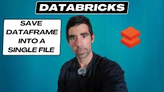 Databricks Quick Tips: Save PySpark Dataframe into a single file