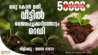 റെഡിമെയിഡ് പച്ചക്കറിത്തോട്ടം!! | Vegetable Garden at Home | Organic vegetable farming | Orgaayur
