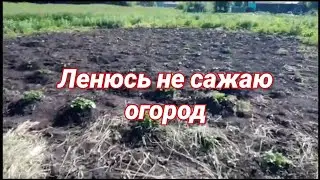 КАК Я ЛЕНЮСЬ НЕ САЖАЮ ОГОРОД ЖИВУ В ДЕРЕВНЕ