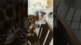 #пасха