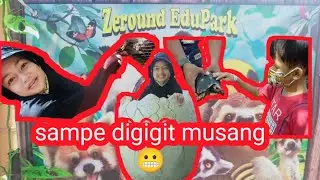 Ada Tempat Edukasi Zeround Edupark di Pangandaran