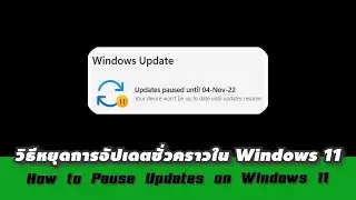 How to Pause Updates on Windows 11