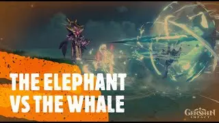 THE ELEPHANT VS THE WHALE