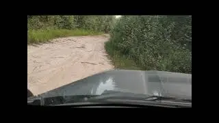 Машину облюбовала мошкара. ЯНАО