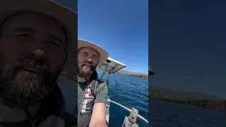 4 knots in light winds against the current! 😎 