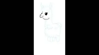 Lets draw a Llama in Procreate 