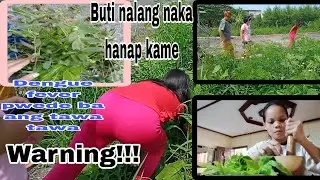 HUNTING TAWA TAWA SA LOOB NG VILLAGE | DENGUE SYMPTOMS AND SIGNS | ATE MERCY VLOG
