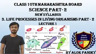 3. Life Processes  in Living Organisms Part2| Asexual Reproduction in Unicellular Organisms|RST|Alok