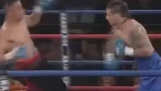 Lucas Matthysse vs Rogelio Castañeda Full Highlights - Boxing