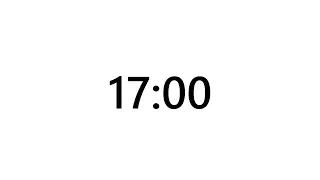 Timer for 17 minutes
