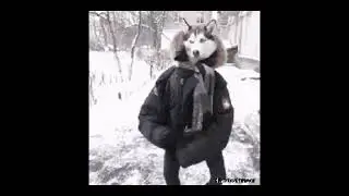 Че тут писать?