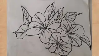 How To Draw Flowers And Butterfly Easy Pencil Sketch For Beginners, Butterfly And Flowers Drawing