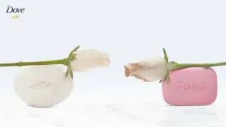 Dove is different