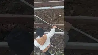 DAĞANCAN MÖ LERİNİ SEVİYOR