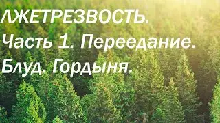 ЛЖЕТРЕЗВОСТЬ. ЧАСТЬ 1. Блуд, переедание, гордыня.