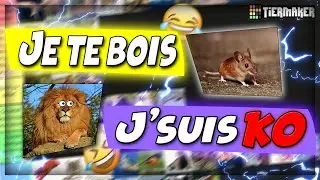 Quel animal je BATS en 1 VS 1 ?! (TIER LIST)