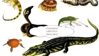 Змеи