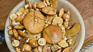 Сегодня мы с ГРИБАМИ и с ПИРОГАМИ👍😋