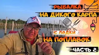 РЫБАЛКА НА ДИКОГО КАРПА с лодки на ПОПЛАВОК. Рыбалка 2021. РЫБАЛКА С НОЧЕВКОЙ. fishing. Часть 2