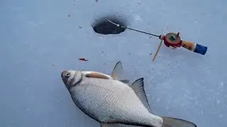 How to Rig a Winter Fishing Rod for Jigs. Plus Other Tips.