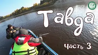 ТАВДА! ПРОВЕРКА ДОНОК, ЩУКА, ОКУНЬ, ЯЗЬ, ТУЧИ МОШКИ, РЕМОНТ ЛОДКИ И ЛЕСТНИЦЫ, ОБРАЩЕНИЕ К РЫБАКАМ!
