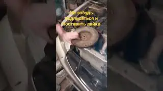 21 февраля 2024 г.