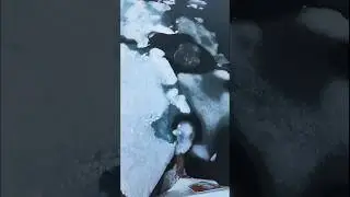 Pushing through frozen sea ice! 