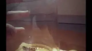 Серая бабочка