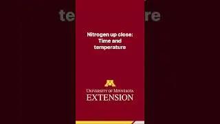 Nitrogen up close: Time and temperature