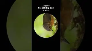 Pedro alistando su lente para el #GlobalBigDay. ¡A pajarear hoy!