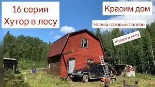 Купили хутор в лесу 16 серия  Красим дом