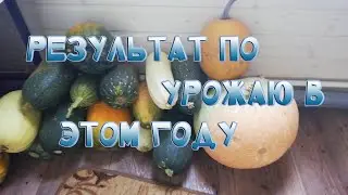 Наш осенний урожай.Много овощей