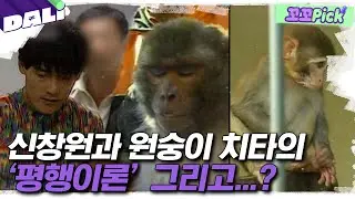 제2의 '신창원 원숭이' 치타가 있었다? | 꼬꼬PICK