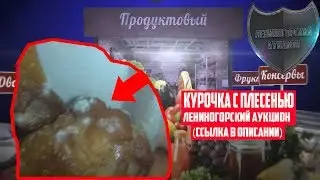 Хрюши Против | Лениногорск - Курочка с плесенью