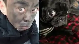 Привет