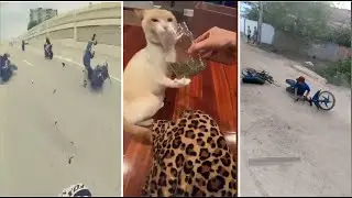 Bad Luck people |Funny fail compilation | Funny fail gang