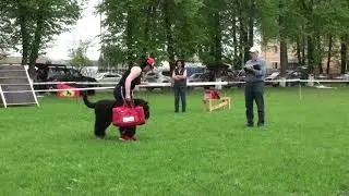 БсБ Живой Источник. Чемпионат НКП РЧТ 2019