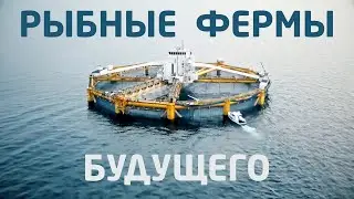 Как разводят рыбу? Внутри крупнейшей в мире рыбной фермы, в Норвегии - Фьюча