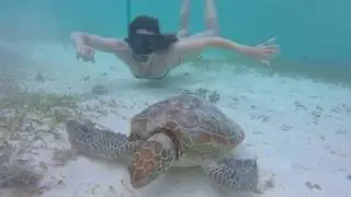 formule 3 Private Half Day Amedee Island and Outer Reef Water Taxi Tour from Noumea